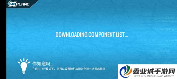 专业模拟飞行10