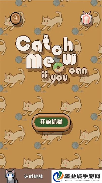 数猫猫