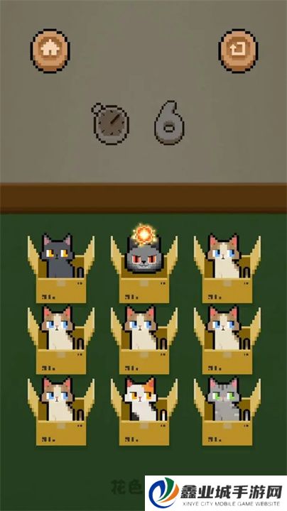 数猫猫