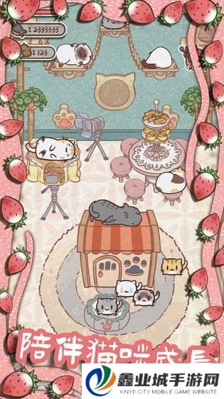开心猫舍