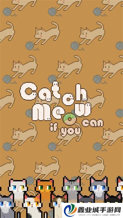 数猫猫