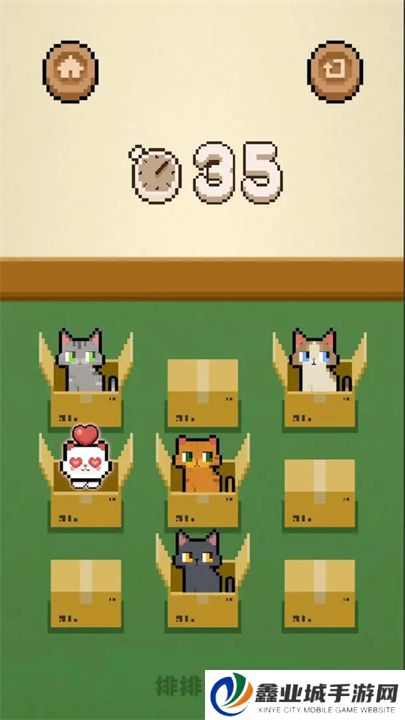 数猫猫