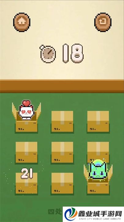 数猫猫