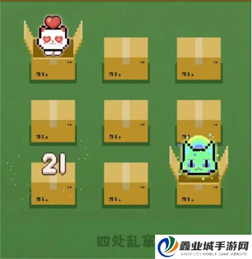 数猫猫