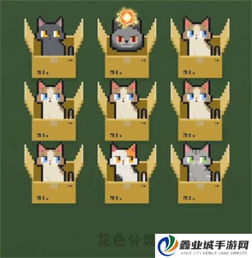 数猫猫